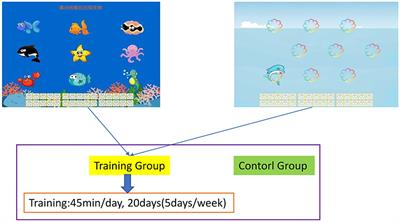 Improving fluid intelligence of children through working memory training: The role of inhibition control